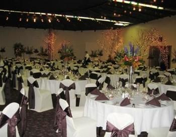 Alma Comfortable Inn Luaran gambar